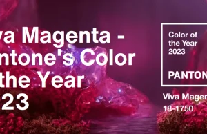 Co to jest Viva Magenta? Poznaj kolor roku 2023!