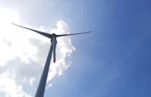 Tauron wybuduje farmę wiatrową o mocy 30 MW w Warblewie, w powiecie słupskim