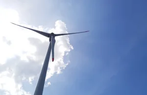 Tauron wybuduje farmę wiatrową o mocy 30 MW w Warblewie, w powiecie słupskim