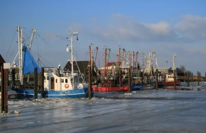 Grenlandia zawiesza porozumienie połowowe z Rosją