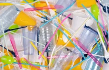 Walka z plastikowymi odpadami: Jednorazowe naczynia nie trafią do obrotu