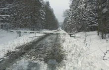 Leśnicy zamknęli im dojazd do domu. Nauczyciele odcięci od świata