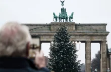 Berlin: Choinka świąteczna straciła czubek. Odcięli go aktywiści klimatyczni