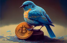 Twitter uruchomił wyszukiwanie indeksów cen bitcoina (BTC) oraz etheru (ETH)