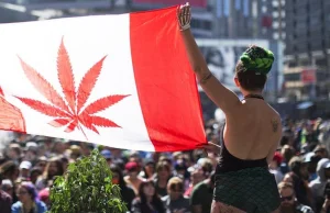 Kanada: Legalizacja marihuany okazała się sukcesem