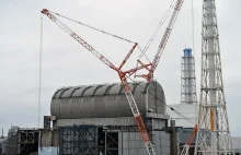 Japonia wraca do energii atomowej. Tragedia już nie straszy
