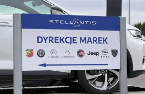 Stellantis na równi pochyłej: Citroën, Fiat, Opel i Peugeot tracą udziały w PL
