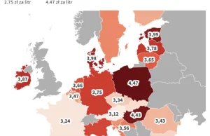 Ceny paliw. Drogo jak na Orlenie: polskie paliwa powyżej europejskiej średniej