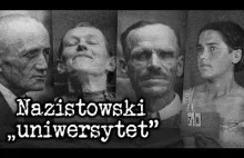 Nazistowski ,,uniwersytet". Czym był Institut für Deutsche Ostarbeit?