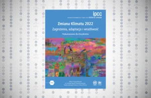 Podsumowanie drugiej części ostatniego raportu IPCC w języku polskim