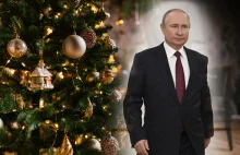 Putin kupuje choinki w Polsce! Ujawniono niewygodne fakty