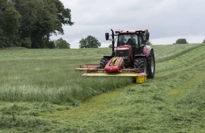 Hodowcy ostrzegają przed skutkami zakazu stosowania pasz GMO