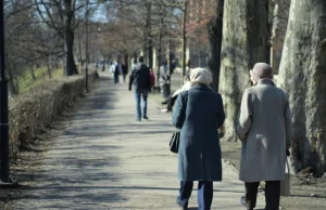 Bójka na terenie ogródków działkowych. Trzy 80-latki pobiły się o mężczyznę.