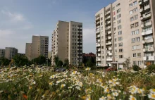 Ceny mieszkań idą w dół. Lokale najbardziej staniały w Sosnowcu