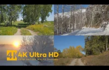 2022 Rewind: 10 najlepszych filmów w 4K Ultra HD (przegląd 2022)
