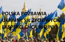 Polska pogrąża Ukrainę