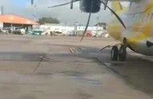 Samolot na tarasie lecącego ptaka.