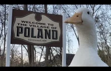 I took my duck to Poland