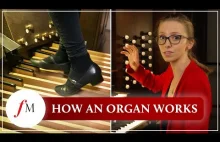 How does a pipe organ actually work? | Anna Lapwood | Classic FM