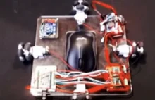 Tak wygląda prawdziwy aimbot, niewykrywalny przez anti-cheaty