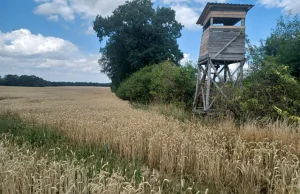 Myśliwi nie chcą badań lekarskich i psychologicznych. Dlaczego?