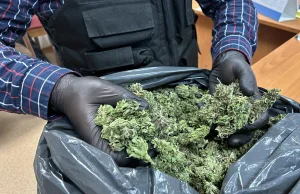 Policjanci zabezpieczyli ponad 3,5 kilograma narkotyków - WIELKOPOLSKA
