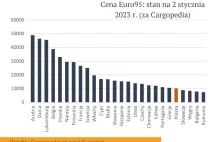 Ile E95 można kupić za przeciętne wynagrodzenie roczne w krajach UE?