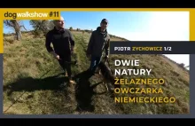 Piotr Zychowicz: Dwie natury Żelaznego Owczarka | Dog Walk Show #11