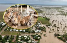 Australia: Niszczycielskie powodzie, część miejscowości odcięta od świata