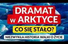 DRAMAT w ARKTYCE. Co się stało? Kto przeżył? Niezwykła opowieść o walce o życie