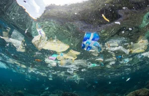 Izrael porzuca podatek od plastiku pod presją środowisk ortodoksyjnych