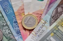 Prawie 65 proc. przeciw przyjęciu euro przeze Polskę
