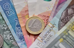 Prawie 65 proc. przeciw przyjęciu euro przeze Polskę