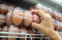 W USA brakuje jajek, gwałtownie rosną ich ceny. Sklepy racjonują te najtańsze