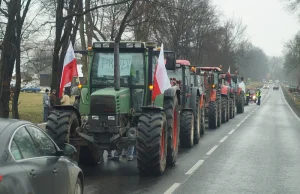 Rolnicy walczą o polską żywność. Agrounia zapowiedziała, że ciągniki znów...