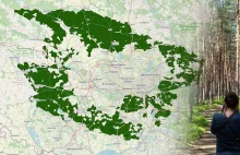 Czy można okrążyć Górnośląsko-Zagłębiowską Metropolię nie wychodząc z... lasu?