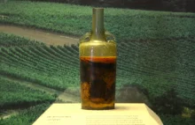 Oto najstarsze wino na świecie. Ma niecałe 1700 lat.