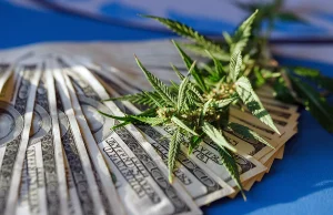 Wyniki sprzedaży marihuany w Rhode Island