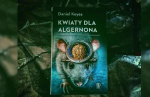 Daniel Keyes "Kwiaty dla Algernona" - trudna i wzruszająca klasyka literatury