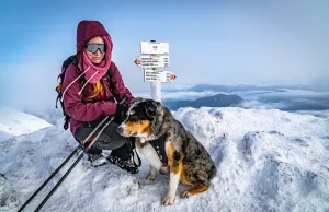 Mała Fatra - czy warto wybrać się tam z psem? Trekking w chmurach na Chleb