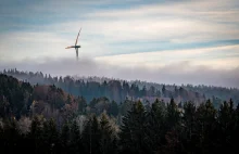 Morawiecki: potrzebujemy wiatraków, żeby nie spalać drogiego węgla
