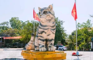 W Wietnamie rok 2023 jest rokiem kota!