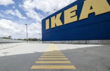 Ile płaci Ikea? Kasjerka ujawniła prawdę o pracy i zarobkach w tej sieci