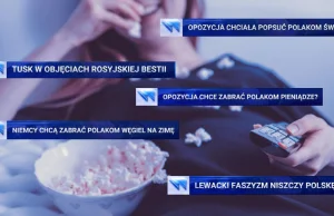 "Niemcy chcą zabrać Polakom węgiel". Paskowy w TVP w formie (●'◡'●)