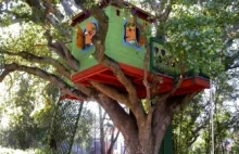 Jak zbudować domek na drzewie?