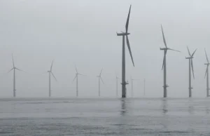 Koncerny naftowe wchodzą na rynek energetyki odnawialnej