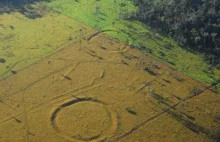 W amazońskim lesie odkryto setki geoglifów