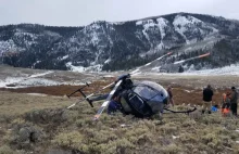 USA: Łoś strącił ścigający go helikopter