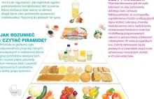 Nowa piramida żywienia