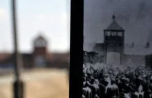 Muzeum Auschwitz na twitterze - 750 tys. obserwujących profil